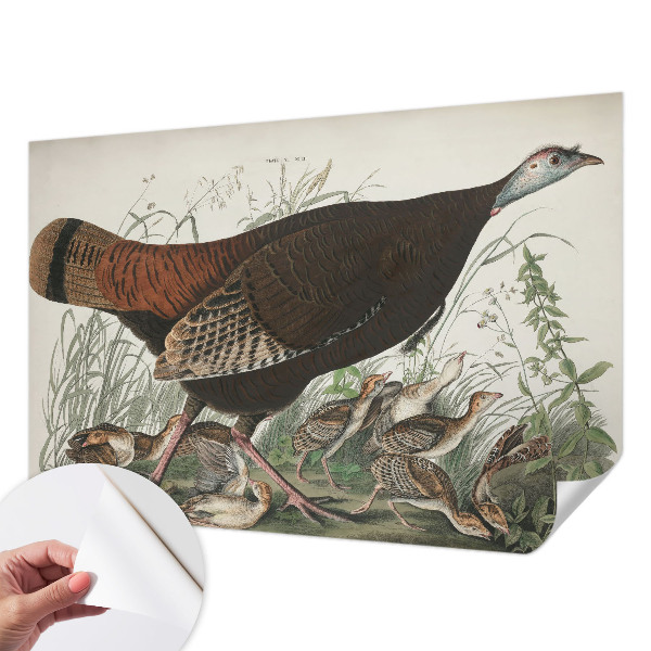 Fototapet børn Fototapet børn