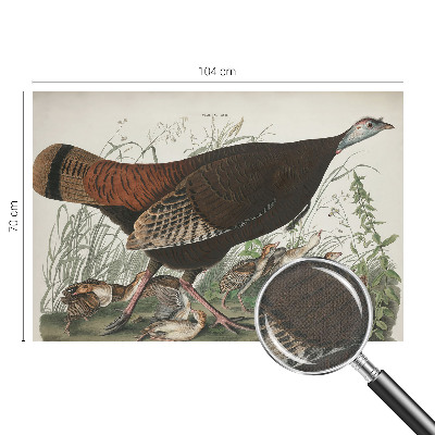 Fototapet børn Fototapet børn