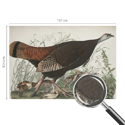 Fototapet børn Fototapet børn