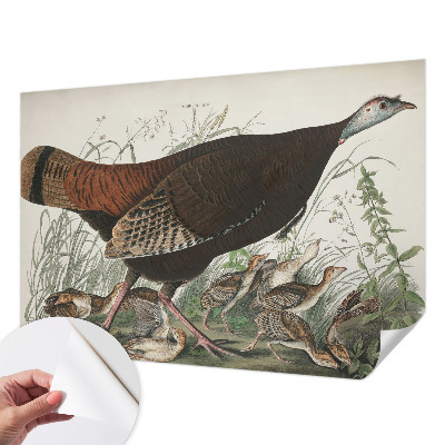 Fototapet børn Fototapet børn