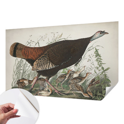 Fototapet børn Fototapet børn