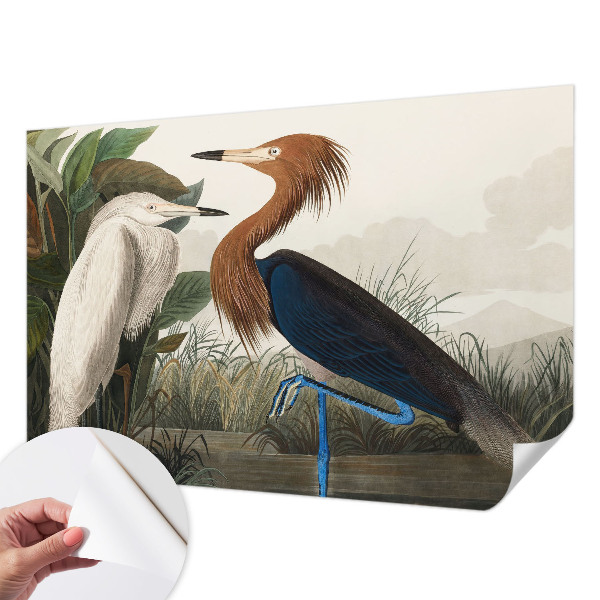 Tapet med mønster Tapet med mønster