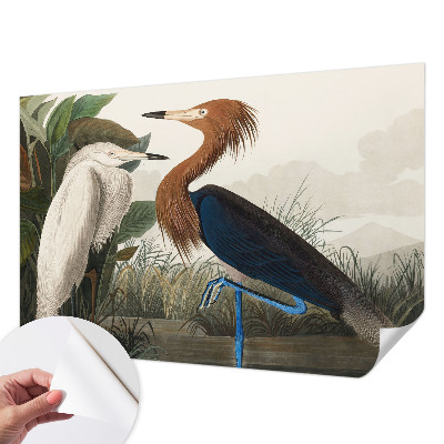 Tapet med mønster Tapet med mønster