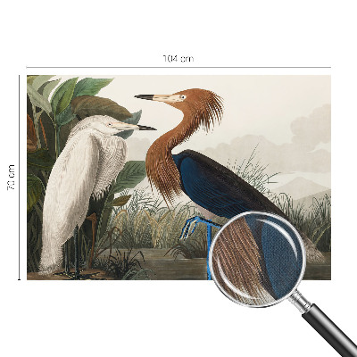 Tapet med mønster Tapet med mønster