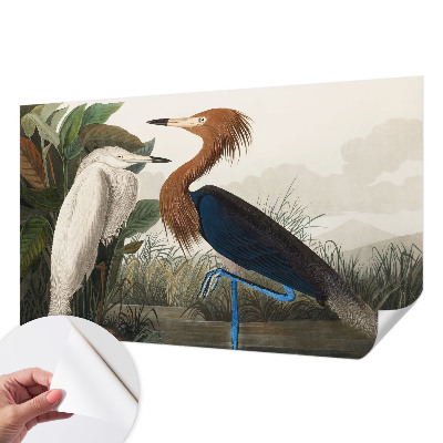 Tapet med mønster Tapet med mønster