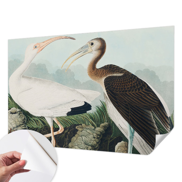 Tapet til køkken Tapet til køkken