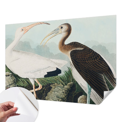 Tapet til køkken Tapet til køkken