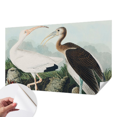 Tapet til køkken Tapet til køkken