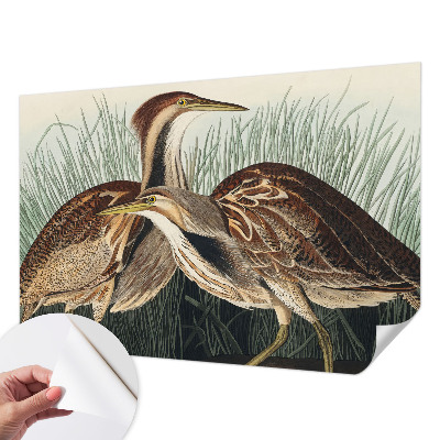 Mønstret tapet Mønstret tapet