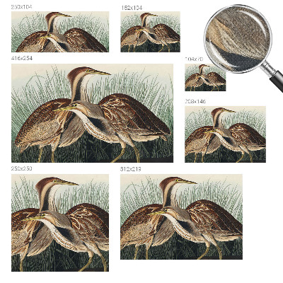 Mønstret tapet Mønstret tapet