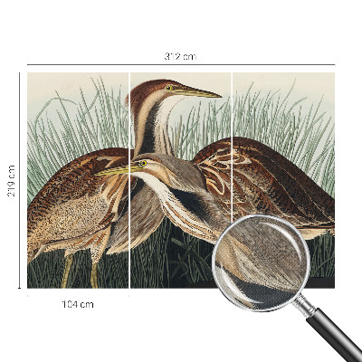 Mønstret tapet Mønstret tapet