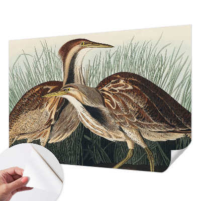 Mønstret tapet Mønstret tapet