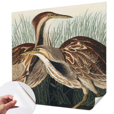 Mønstret tapet Mønstret tapet