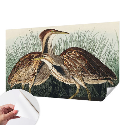 Mønstret tapet Mønstret tapet