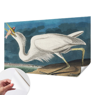 Tapet til køkken Tapet til køkken