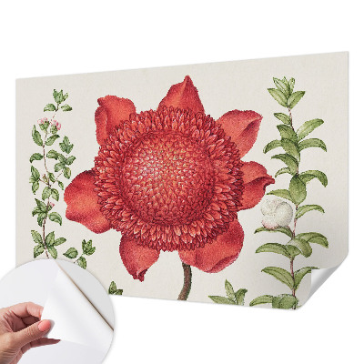 Retro tapet Retro tapet