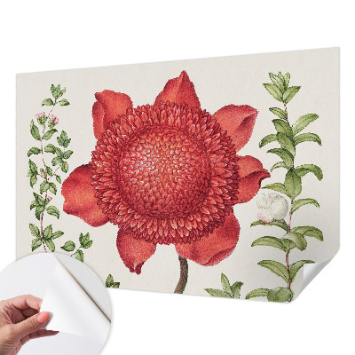 Retro tapet Retro tapet