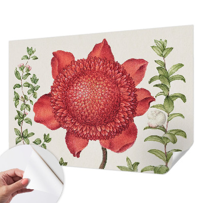 Retro tapet Retro tapet