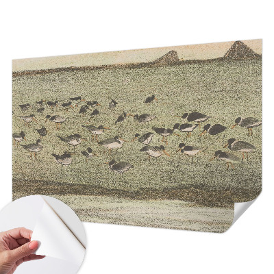 Fototapet børn Fototapet børn