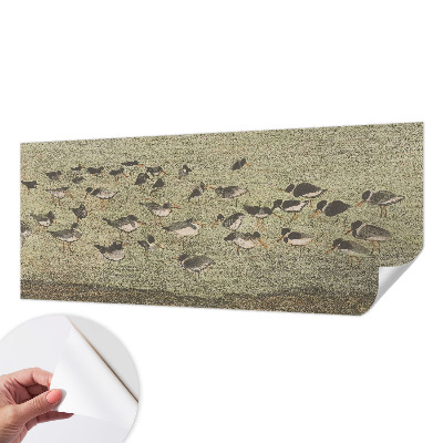 Fototapet børn Fototapet børn