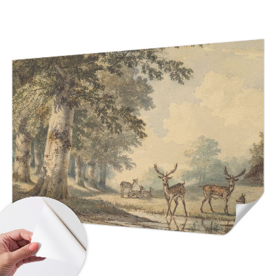 Selvklæbende tapet Selvklæbende tapet