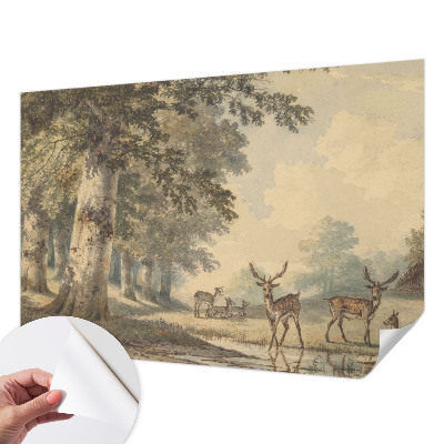 Selvklæbende tapet Selvklæbende tapet