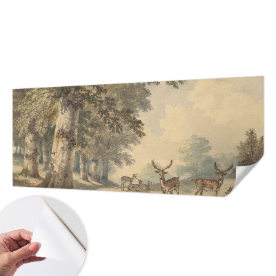 Selvklæbende tapet Selvklæbende tapet