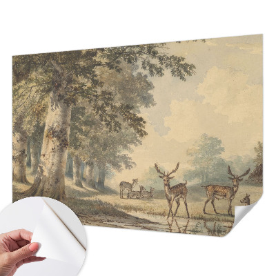 Selvklæbende tapet Selvklæbende tapet