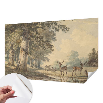 Selvklæbende tapet Selvklæbende tapet