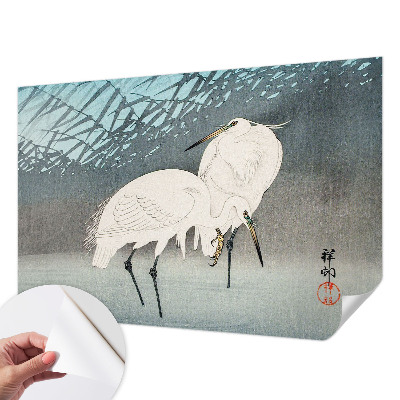 Selvklæbende fototapet Selvklæbende fototapet