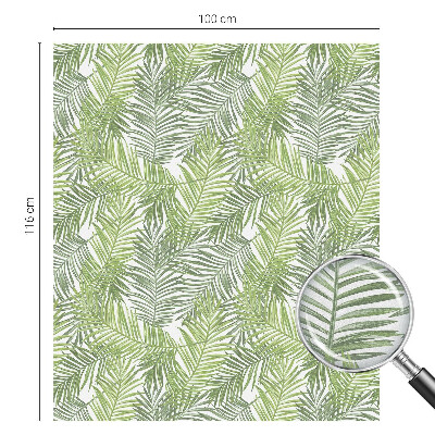 Vinduesfolie med mønster til afskærmning Plantemønstre
