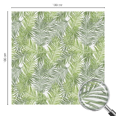 Vinduesfolie med mønster til afskærmning Plantemønstre