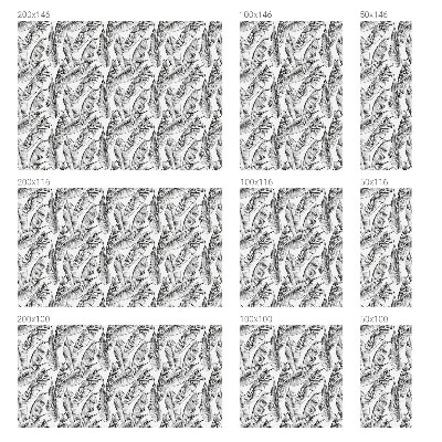 Vinduesfolie med mønster til afskærmning Tropiske blade