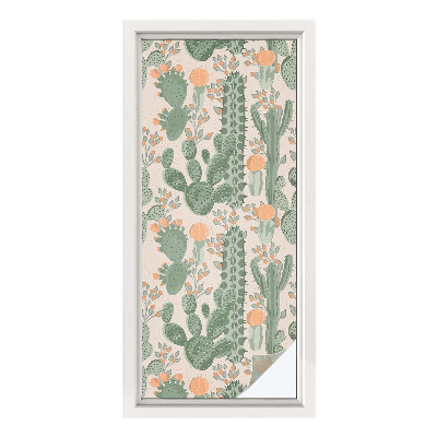 Dekorationsfolie til vindue mod indkig Grønne sukkulenter