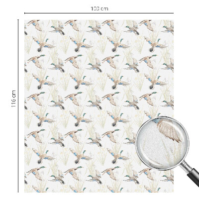 Mælkehvid vinduesfolie med motiv Fugle natur