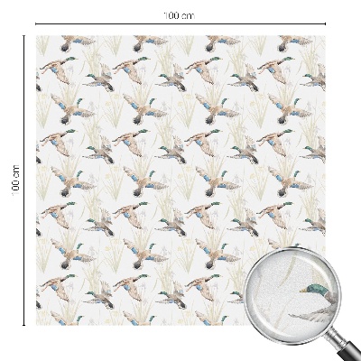 Mælkehvid vinduesfolie med motiv Fugle natur