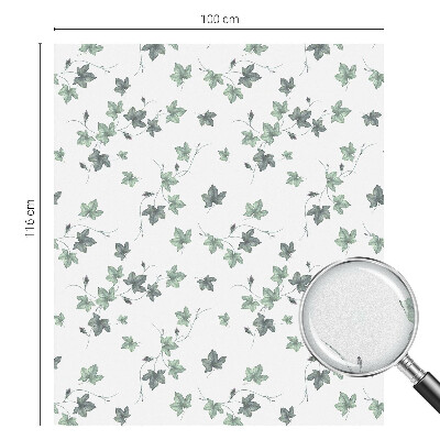 Vinduesfolie med mønster til afskærmning Grøn vinstok