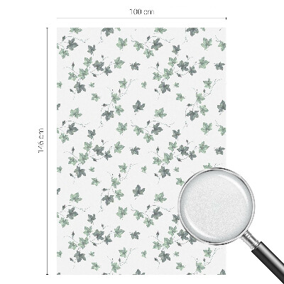 Vinduesfolie med mønster til afskærmning Grøn vinstok