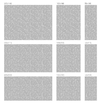 Vinduesfolie med mønster til afskærmning Grønlig elegance