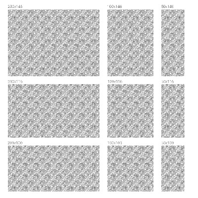 Mælkehvid vinduesfolie med motiv Klassiske portrætter