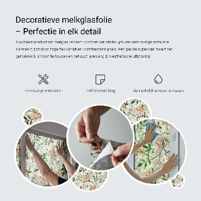 Vinduesfolie mod indkig med glasmaleri Hibiscusblomster