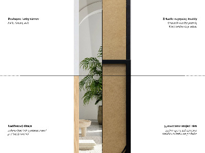 Gulvspejl i egetræsramme 36x156 cm