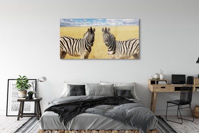 Foto på akrylglas Zebra mark