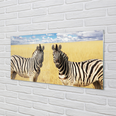 Foto på akrylglas Zebra mark