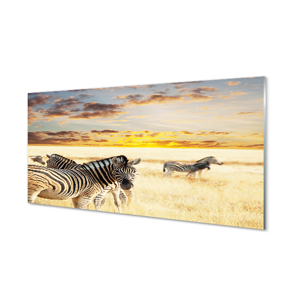 Akrylglas billede Zebrafelt solnedgang