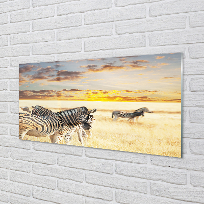 Akrylglas billede Zebrafelt solnedgang