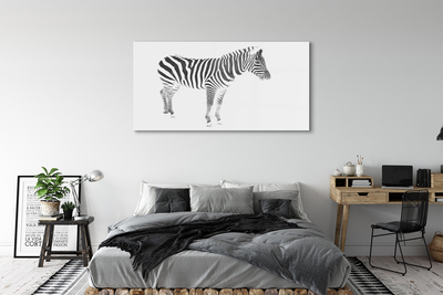 Billede på akrylglas Malet zebra