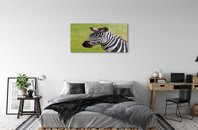 Foto på akryl Zebra