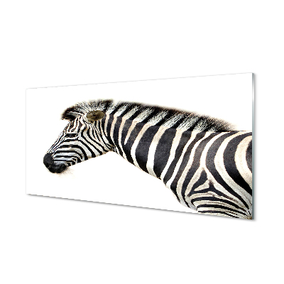 Billede på akrylglas Zebra