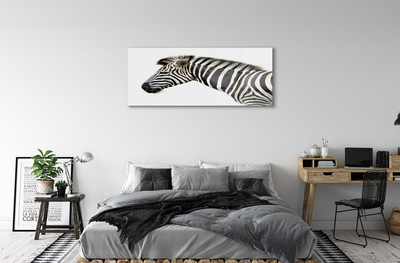 Billede på akrylglas Zebra